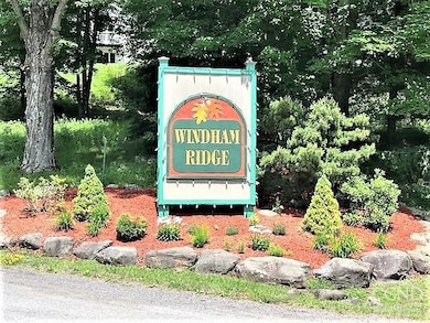 63 Windham Ridge Rd, Windham, NY 12496 - photo 5