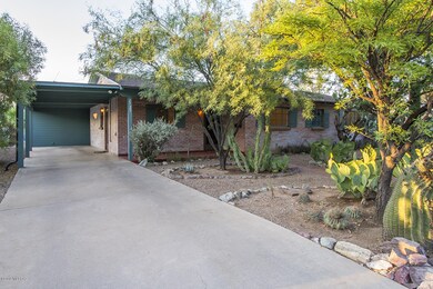 Arroyo Chico_89