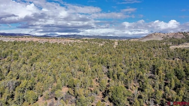 TBD Green Shadows Rd, Durango, CO 81303 - photo 7