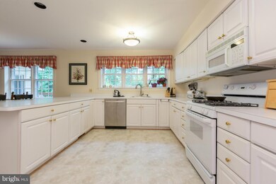 3507 Inverness Dr, Chevy Chase, MD 20815 - photo 7