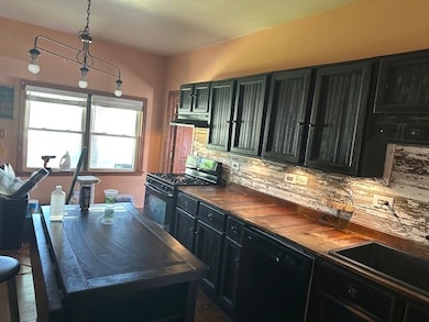 106 Round House St, Braidwood, IL 60408 - photo 3