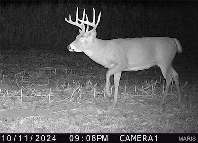 00 Union Grove Ave, Lagrange Township, IL 62246 - photo 2