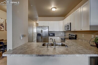 4211 Little Rock View, Colorado Springs, CO 80911 - photo 5