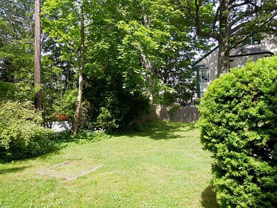 Yard/Garden.