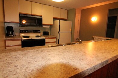 164 Deer Park Dr unit 166D, Woodstock, NH 03262 - photo 4