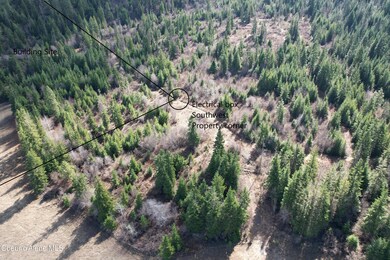 Tract 5 Thimbleberry Ln, Plummer, ID 83851 - photo 7