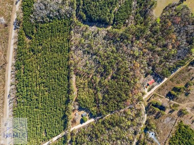 1014 Iler Rd, Pembroke, GA 31321 - photo 7