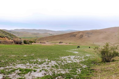 1836 Cemetery Rd, Weiser, ID 83672 - photo 3