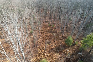 40 5th St, Hawley, PA 18428 - photo 5