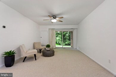 5807 Cove Landing Rd unit 101, Burke, VA 22015 - photo 5