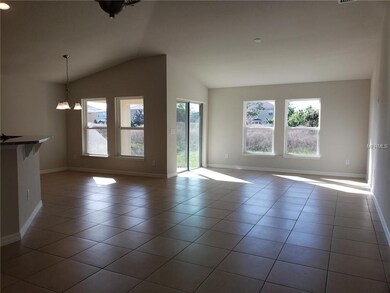 18668 Hunters Meadow Walk, Land O' Lakes, FL 34638 - photo 5