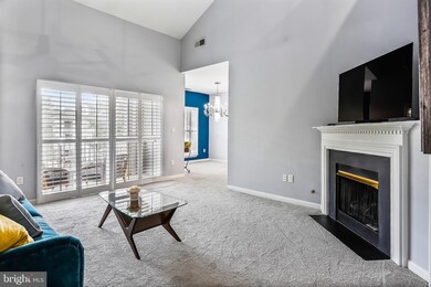 11306 Westbrook Mill Ln unit 301, Fairfax, VA 22030 - photo 5