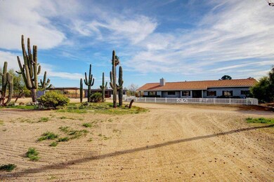 Horse Property Galore!