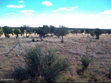 SNYDER LAND PHOTO 5