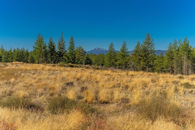 71-web-or-mls-Riley Visuals-71