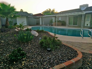 large custom diving pool