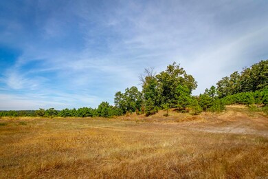 0 Porter Rd unit 25034698, Union Township, AR 72153 - photo 6