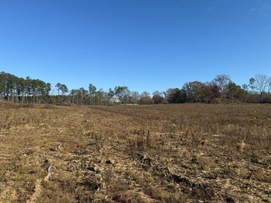 159 D B Williamson Rd # B, Louisville, MS 39339 - photo 5