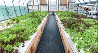 0 Highway 64 W unit RTC2400540, Shelbyville, TN 37160 - photo 6