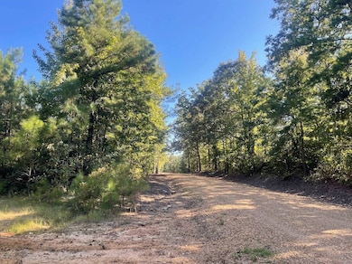 00 N County Line Rd, Maben, MS 39750 - photo 7