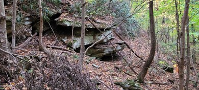 0 Thompson Tr unit 1209854, Winfield, TN 37892 - photo 5