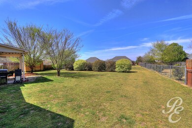 Large Backyard