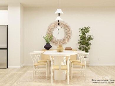 1041 Bandon Dr, Waxhaw, NC 28173 - photo 3