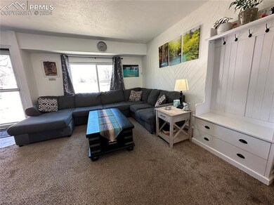 Carpeted living room featuring a textured ceiling