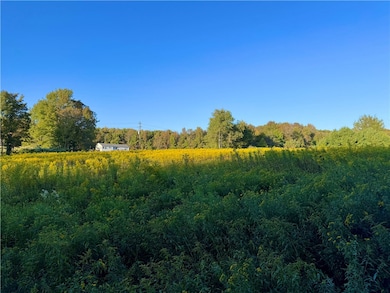 0 Campbell Rd, Franklin, NY 13775 - photo 3