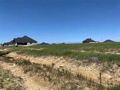 308 El Pescado Ct, Godley, TX 76044 - photo 4