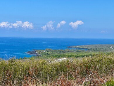 85-5315 Kiilae Rd, Captain Cook, HI 96704 - photo 6