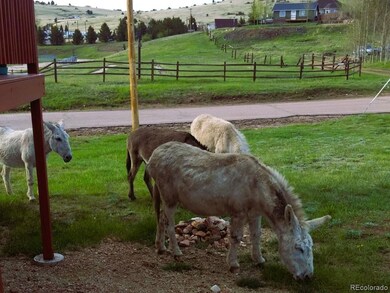 Carousel Image
