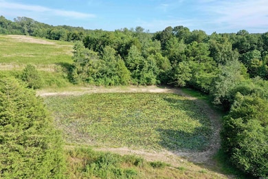 0001 Ridge Rd unit 115 Ridge Drive, Heber Springs, AR 72543 - photo 5