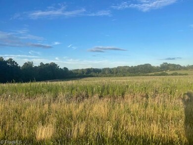 00 Amos Ridge Rd unit Amos Ridge Road, Sandy Ridge, NC 27046 - photo 4