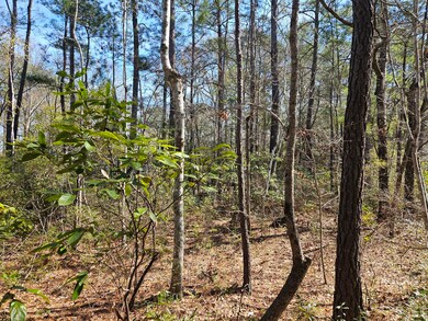 0, Georgetown, SC 29440 - photo 2