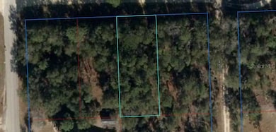 0 NE 67th St unit MFRGC535387, Bronson, FL 32621 - photo 3