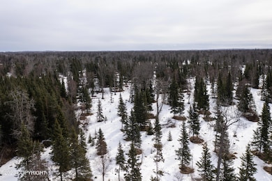 Tract 5 Aspen St, Kenai, AK 99611 - photo 6