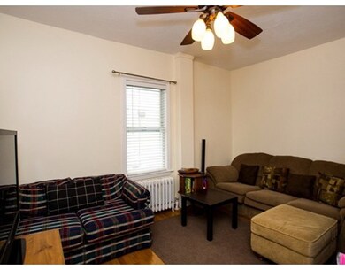 47 Litchfield St unit 101, Brighton, MA 02135 - photo 5