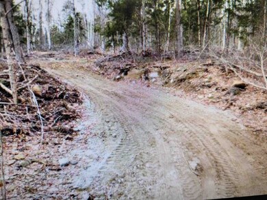 9 Old Country Rd, Warren, NH 03279 - photo 4