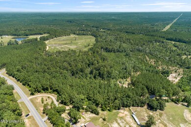 2140 Central Firetower Rd, Lucedale, MS 39452 - photo 6