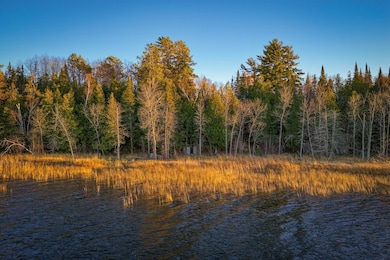 11347 Lupine Way NE, Bemidji, MN 56601 - photo 5