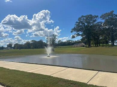 410 Cypress Village Ln, Oakland, TN 38060 - photo 6