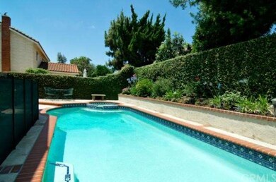 Take a Swim!