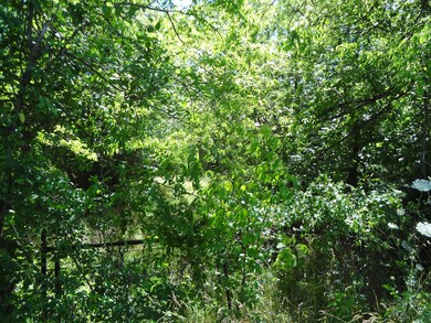 Old gate off the road was used at one time.