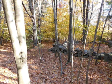 11 Drake Hill Rd unit 4-41, Strafford, NH 03884 - photo 3