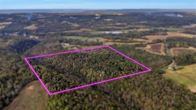 1130 County Road 376, Pisgah, AL 35765 - photo 5