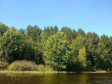 61 acres Hwy 86, Tomahawk, Wi, WI 54487 - photo 3
