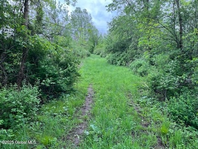 L1.12 Carlisle Rd, Canajoharie, NY 13317 - photo 7