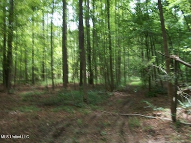 Tbd Oldenburg Rd, Meadville, MS 39653 - photo 7