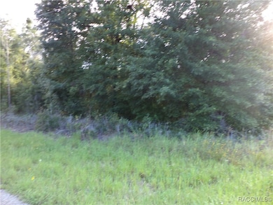 6424 N Matheson Dr, Citrus Springs, FL 34434 - photo 3